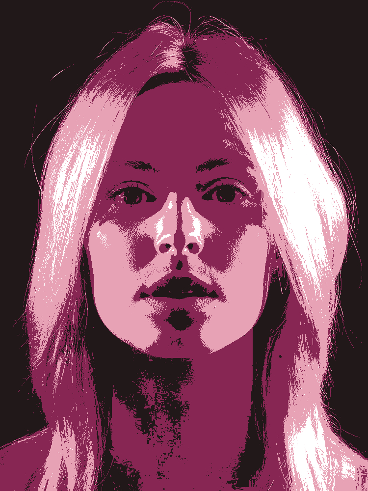 Image altered in the software GIMP to show an example of how pixels can be altered.